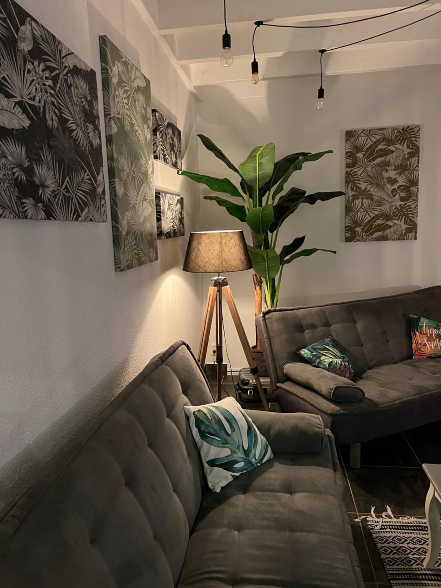 Appartement Spacieux Au Village Du Flamboyant Baie Nettle Екстериор снимка